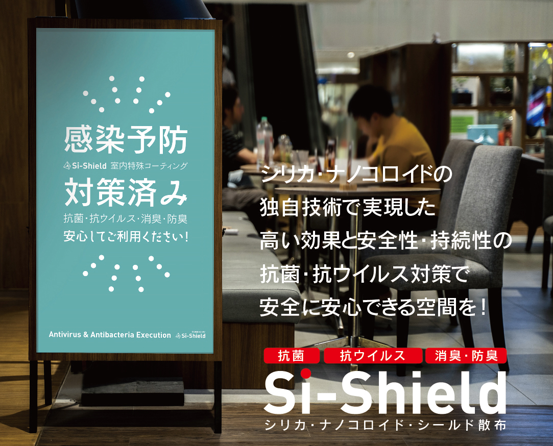 Si-Shieldの解説と対策済みイメージ